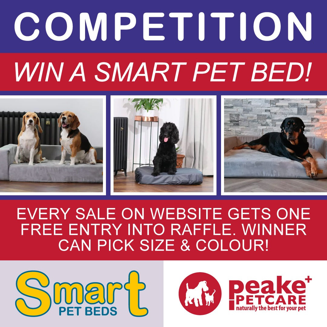 RAFFLE: WIN A SMART PET BED